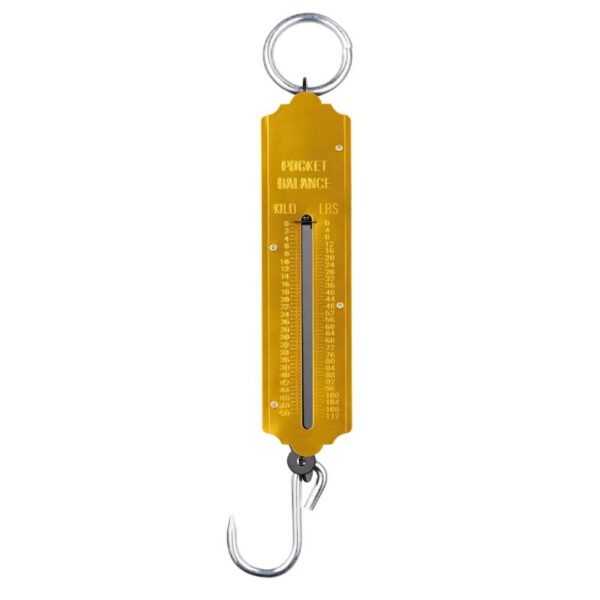 GOLDEN SCALE 2 5 KG-5