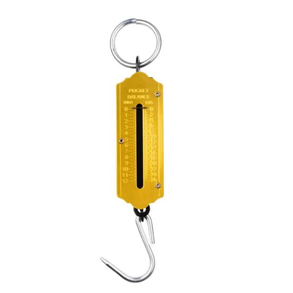 GOLDEN SCALE 12 KG-2