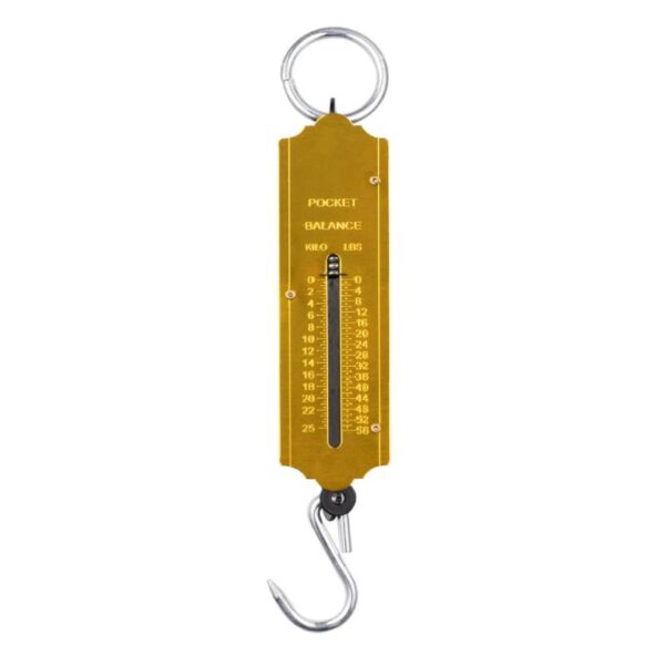 GOLDEN SCALE 100 KG KG-5
