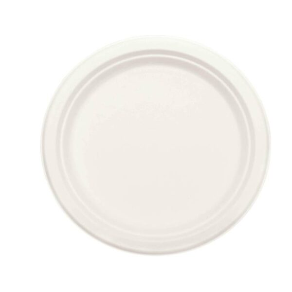 10" Round plate - 30