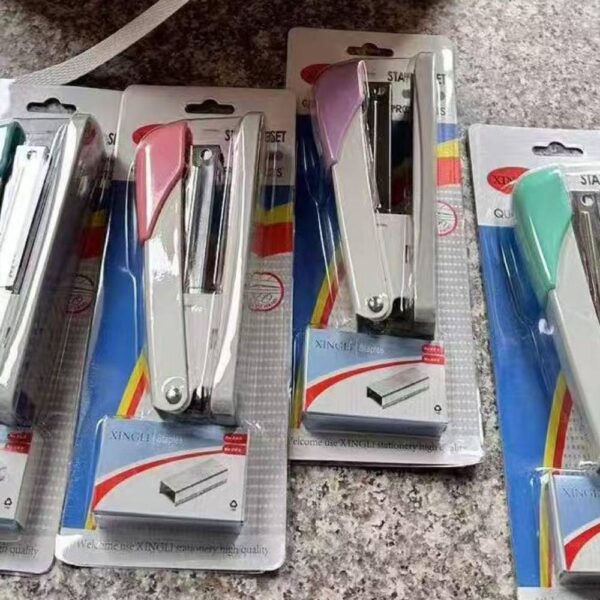 Stapler set with pin